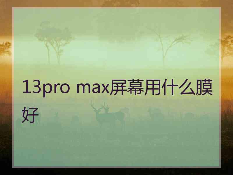 13pro max屏幕用什么膜好