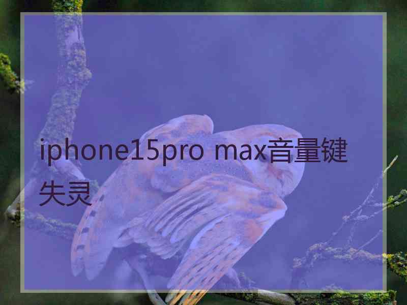 iphone15pro max音量键失灵