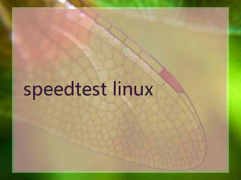 speedtest linux