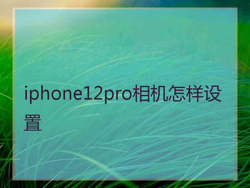 iphone12pro相机怎样设置