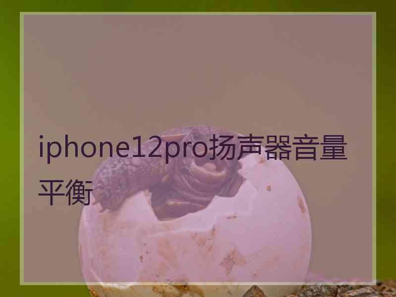 iphone12pro扬声器音量平衡