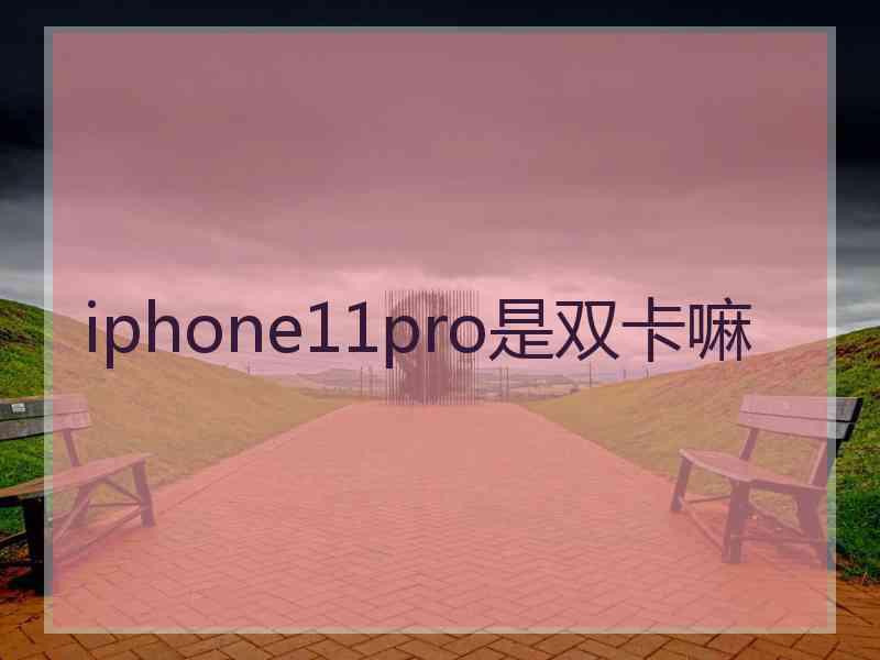 iphone11pro是双卡嘛