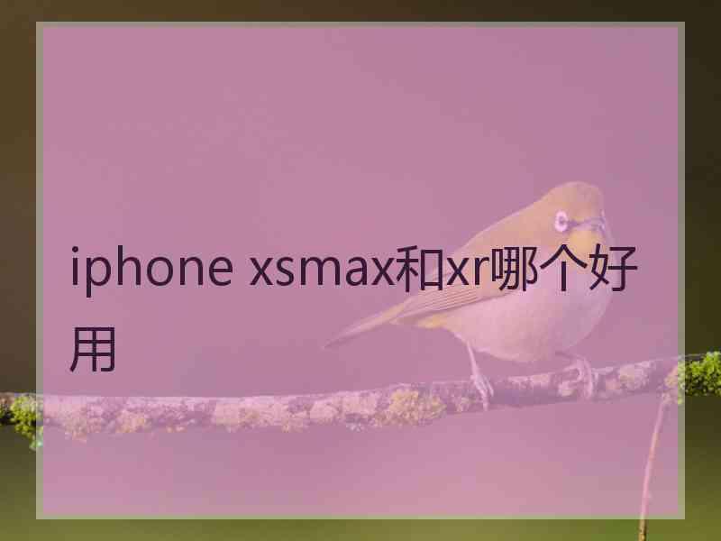 iphone xsmax和xr哪个好用