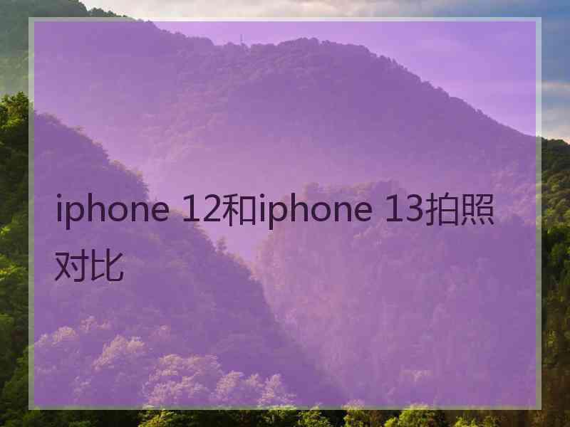 iphone 12和iphone 13拍照对比