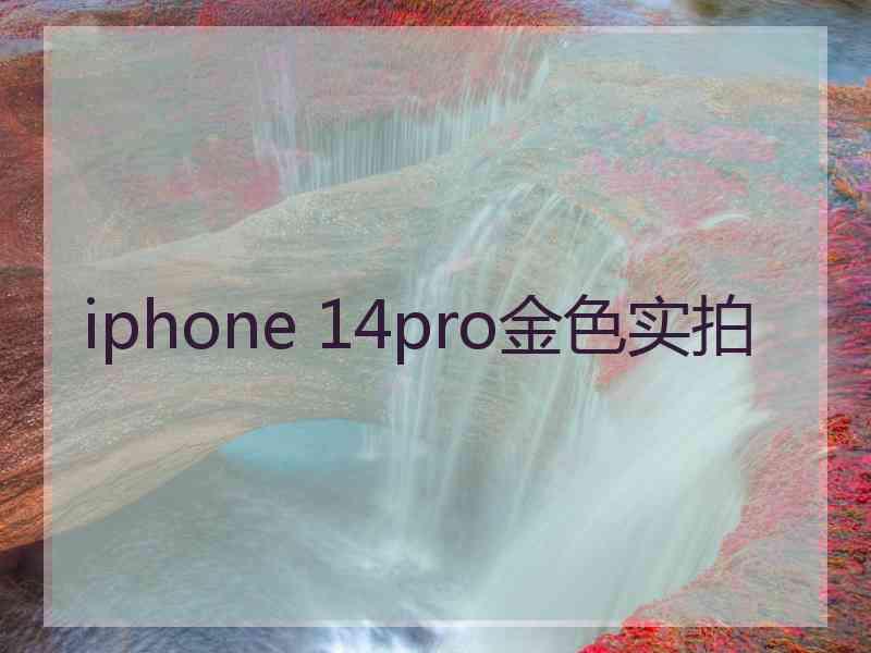 iphone 14pro金色实拍