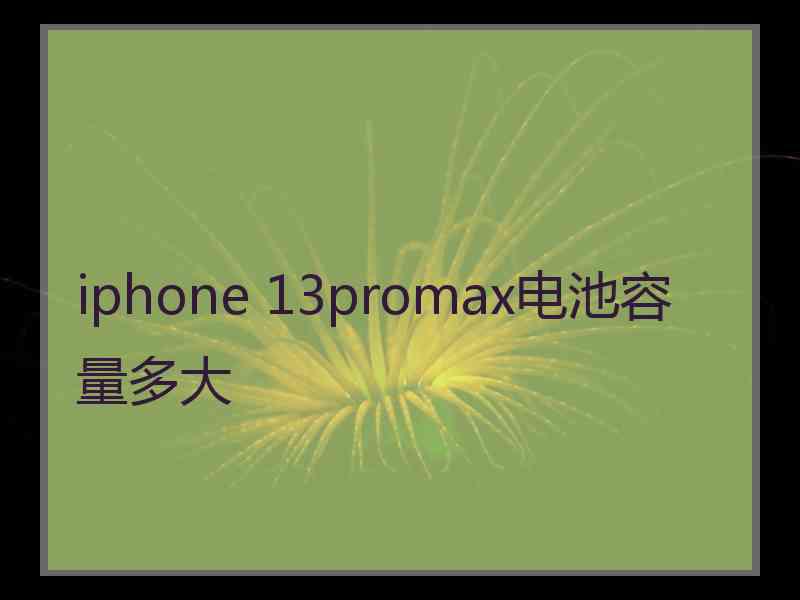 iphone 13promax电池容量多大