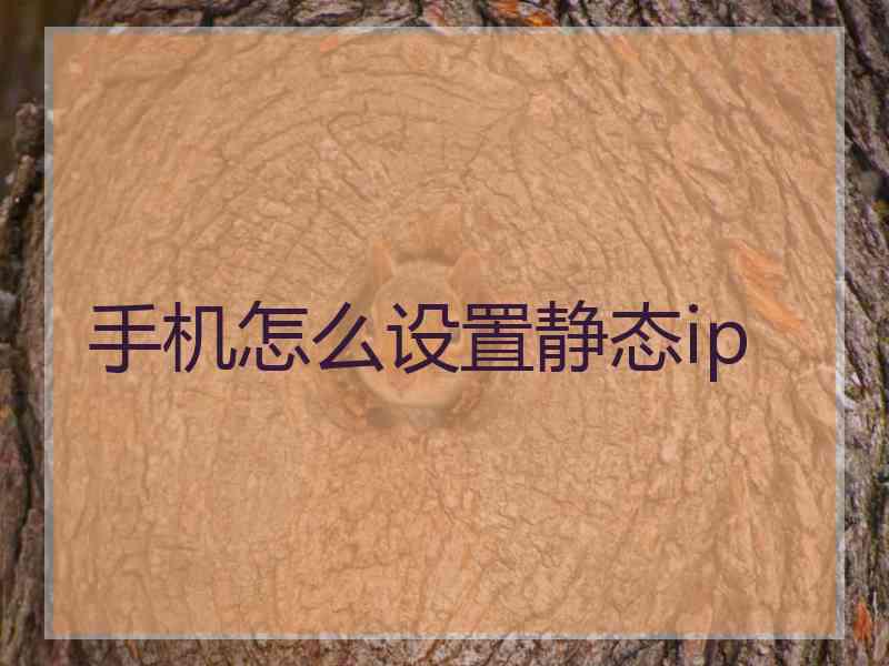 手机怎么设置静态ip