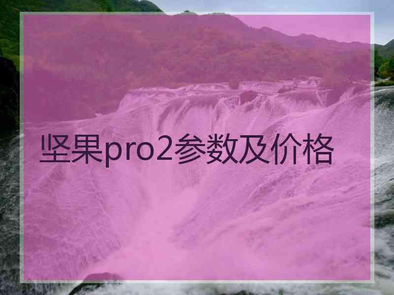 坚果pro2参数及价格