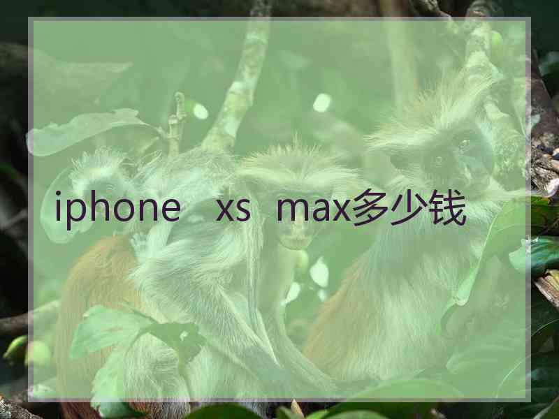 iphone   xs  max多少钱