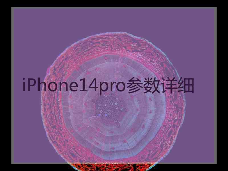 iPhone14pro参数详细