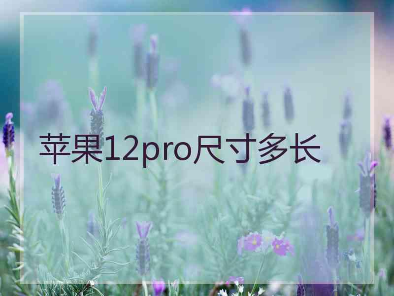 苹果12pro尺寸多长