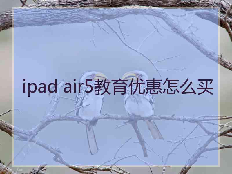 ipad air5教育优惠怎么买