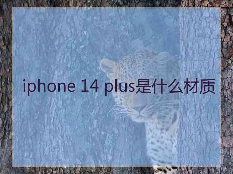 iphone 14 plus是什么材质