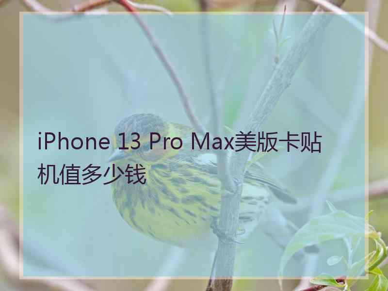 iPhone 13 Pro Max美版卡贴机值多少钱