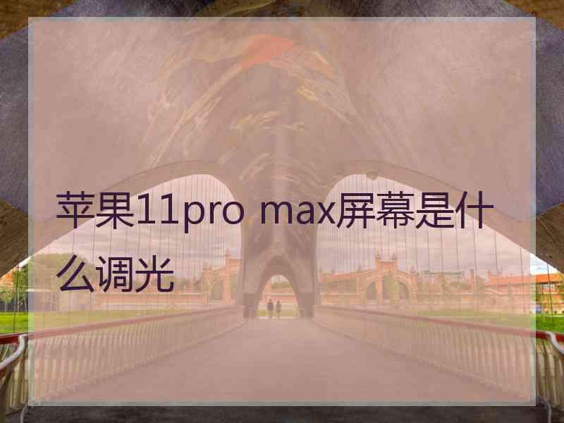 苹果11pro max屏幕是什么调光