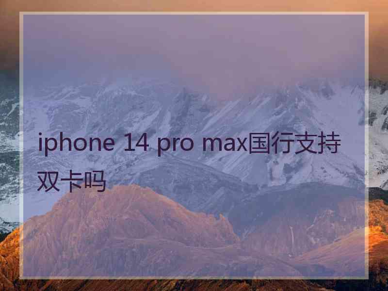 iphone 14 pro max国行支持双卡吗