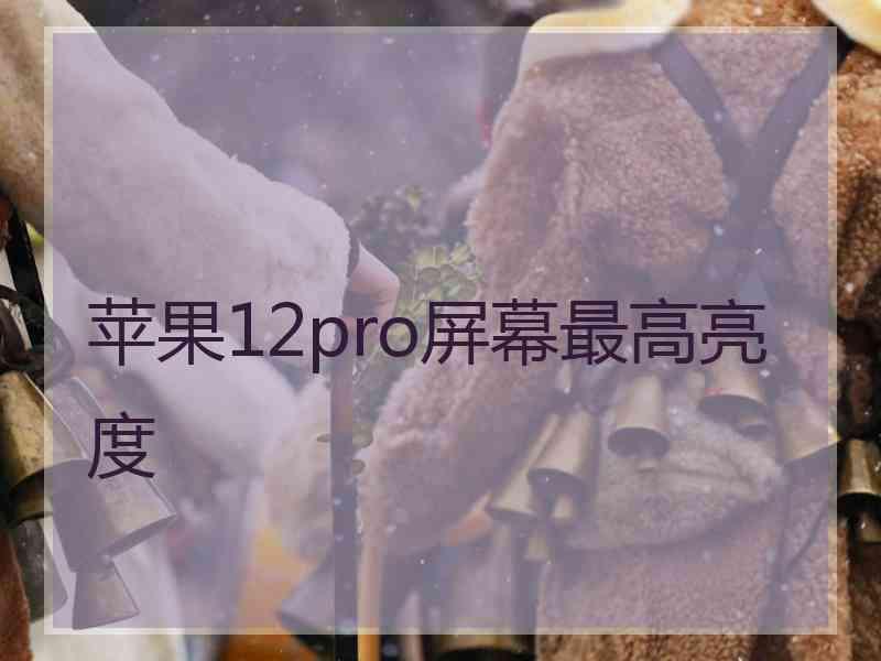 苹果12pro屏幕最高亮度