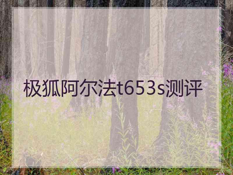 极狐阿尔法t653s测评