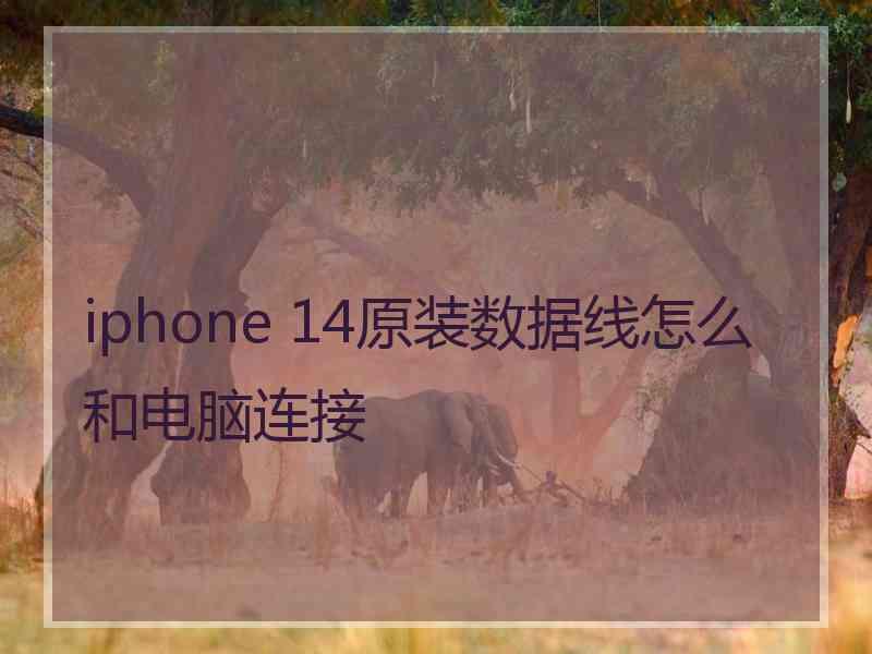 iphone 14原装数据线怎么和电脑连接