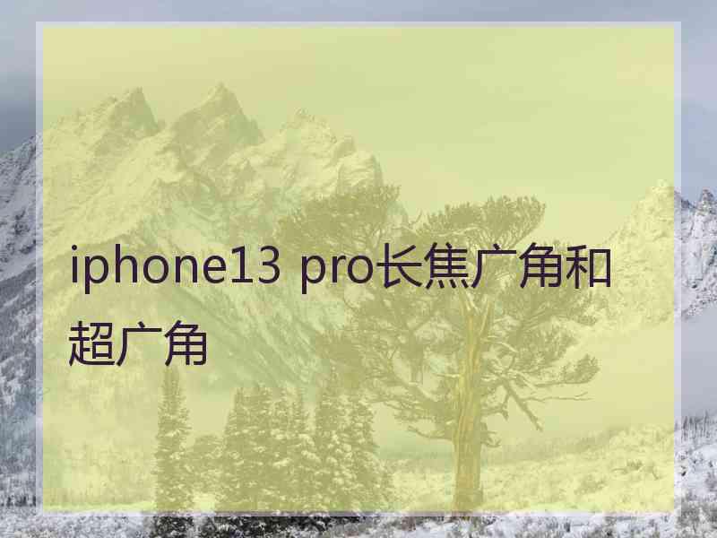 iphone13 pro长焦广角和超广角