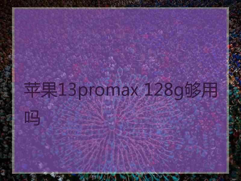 苹果13promax 128g够用吗