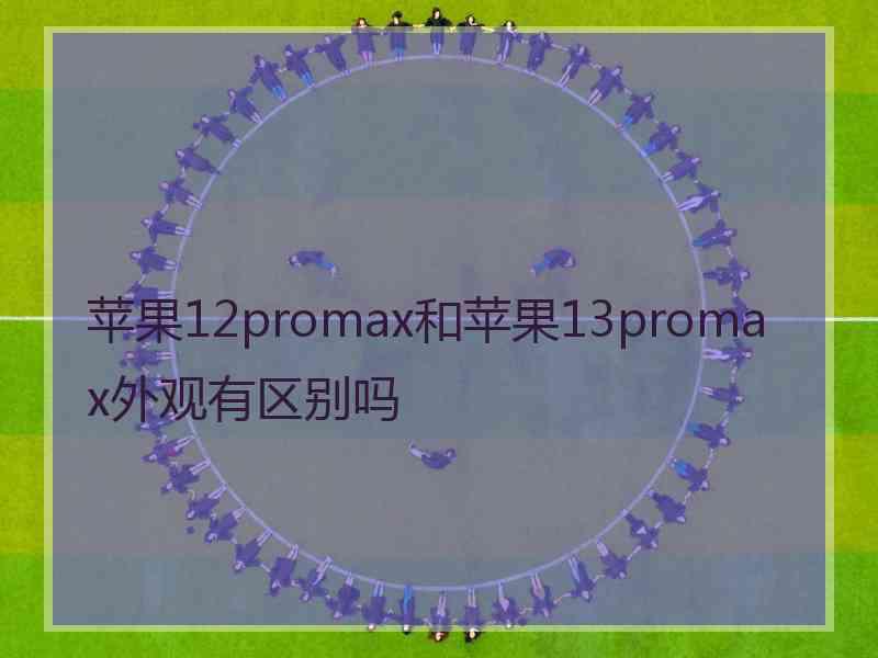 苹果12promax和苹果13promax外观有区别吗