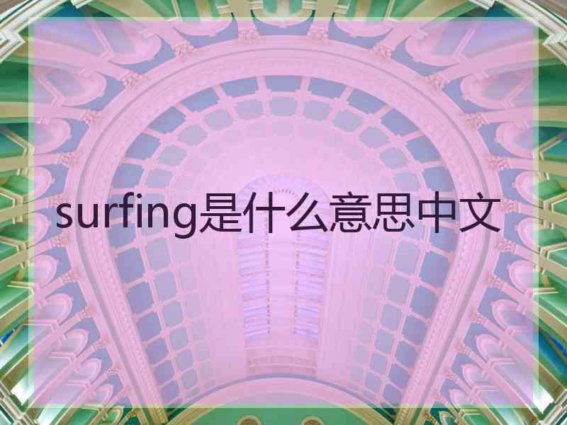 surfing是什么意思中文