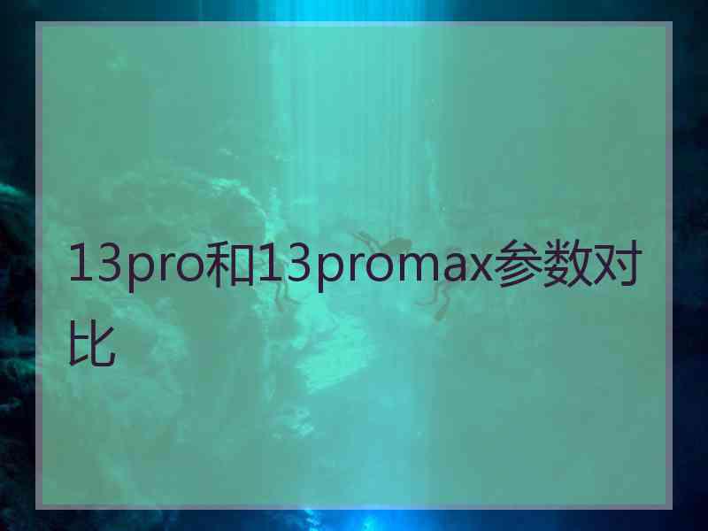 13pro和13promax参数对比