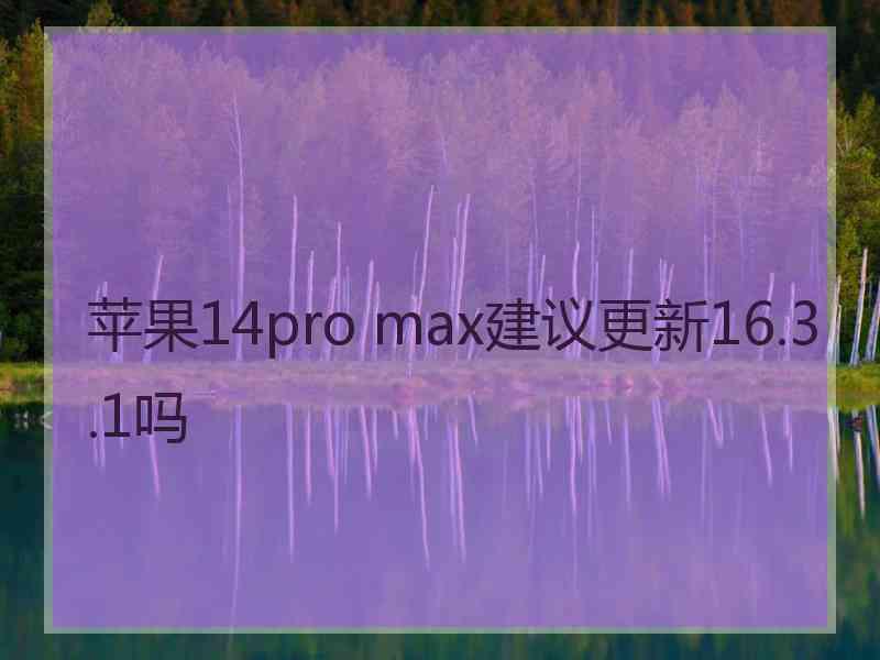 苹果14pro max建议更新16.3.1吗