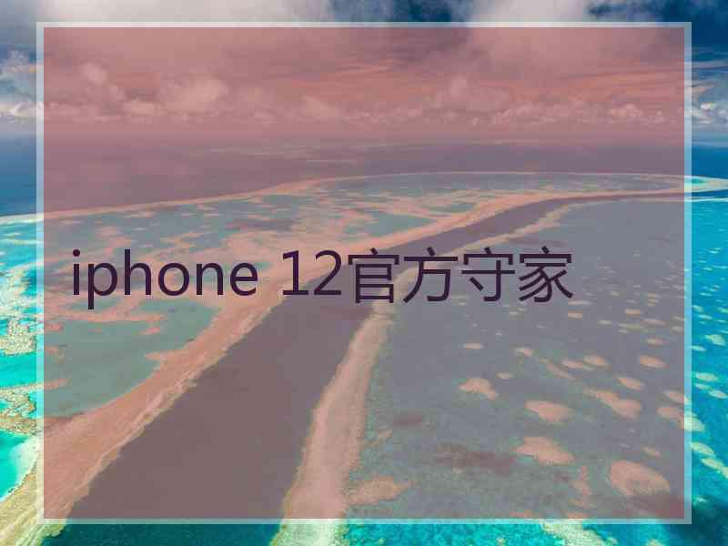 iphone 12官方守家