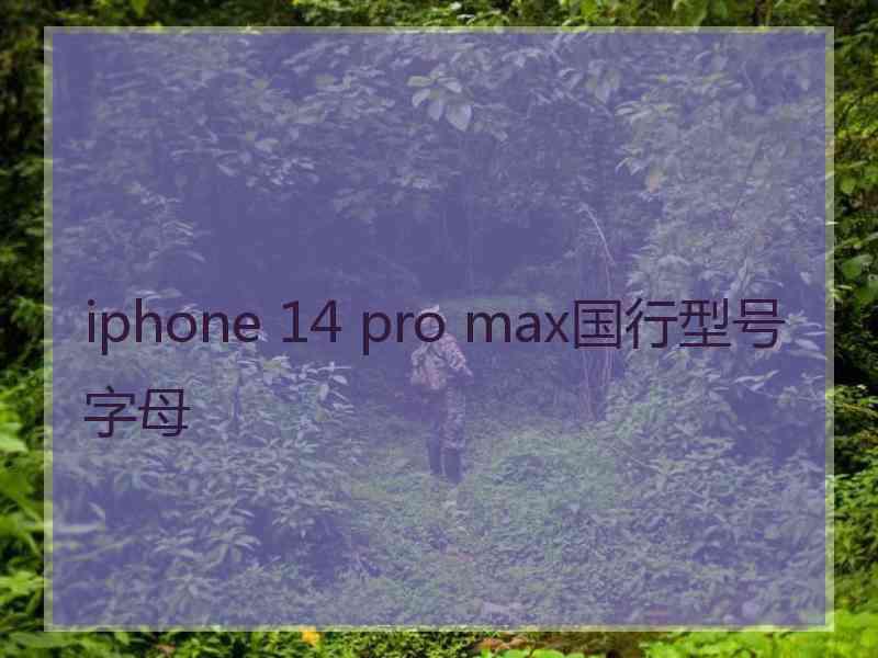 iphone 14 pro max国行型号字母