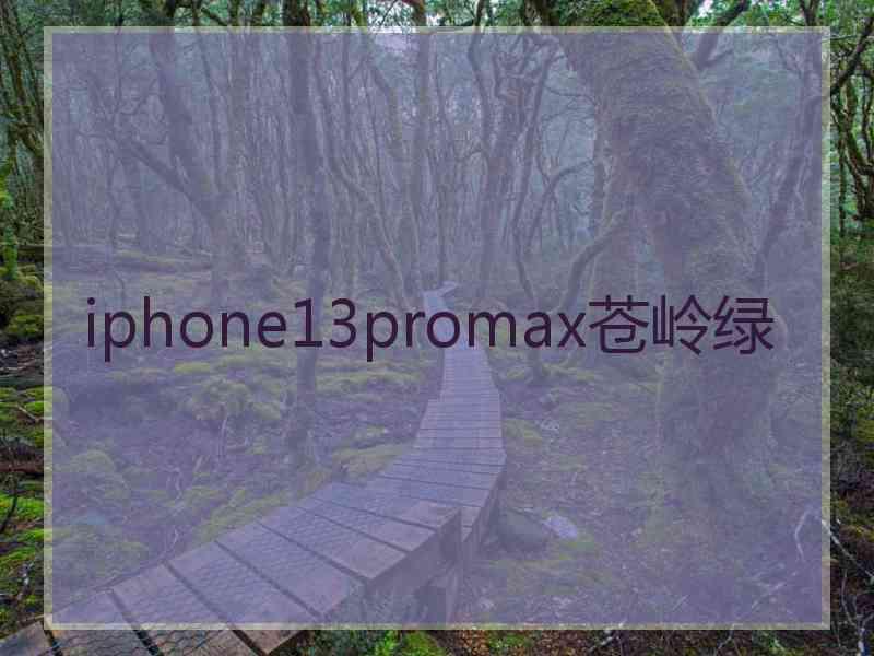 iphone13promax苍岭绿