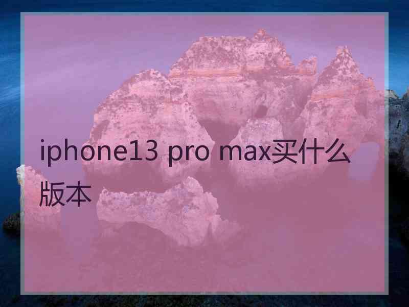 iphone13 pro max买什么版本