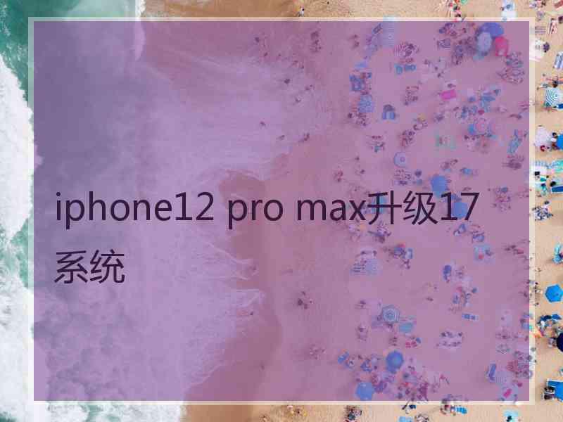 iphone12 pro max升级17系统