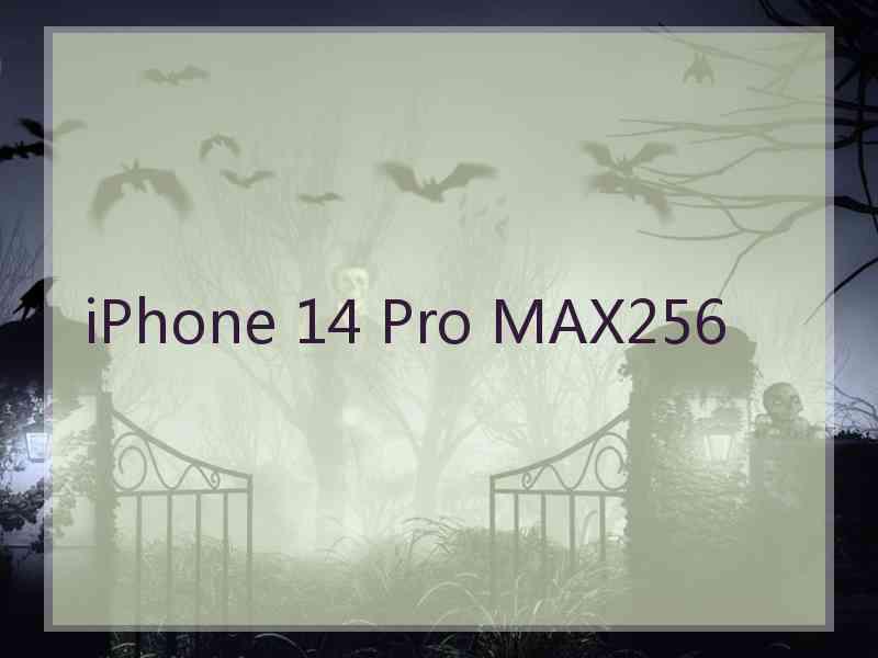 iPhone 14 Pro MAX256