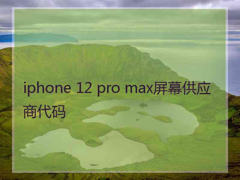 iphone 12 pro max屏幕供应商代码