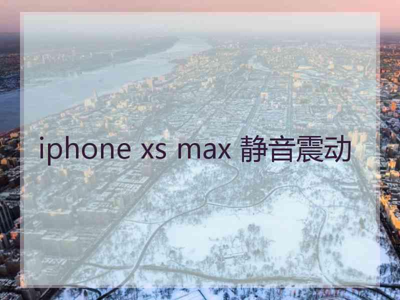 iphone xs max 静音震动