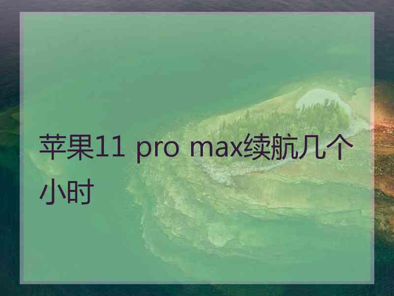 苹果11 pro max续航几个小时