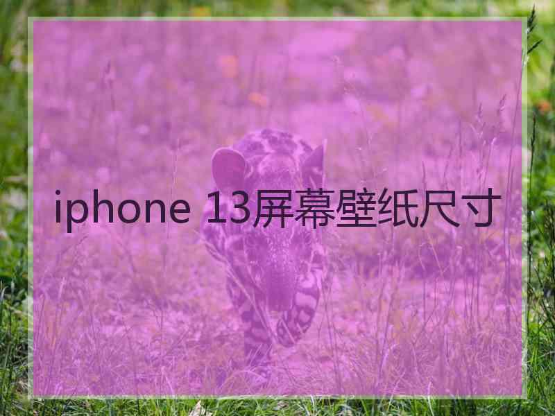 iphone 13屏幕壁纸尺寸