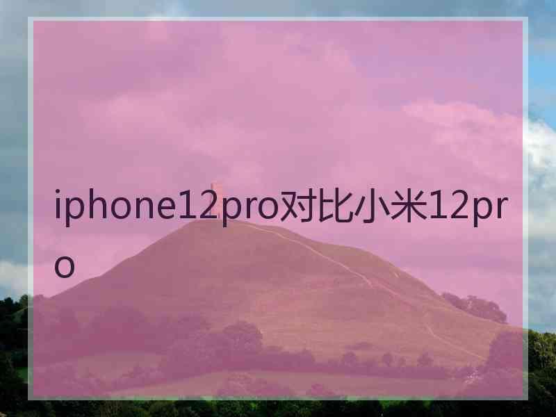 iphone12pro对比小米12pro