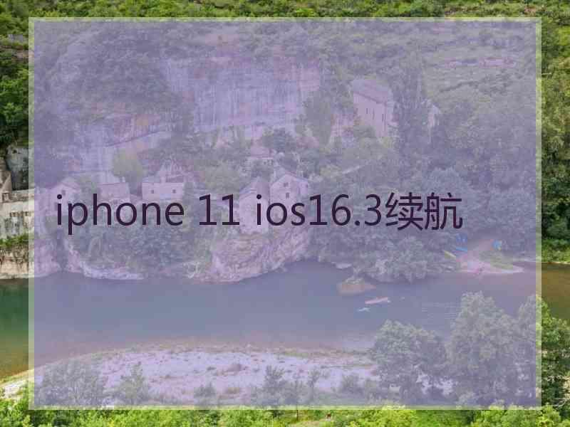 iphone 11 ios16.3续航