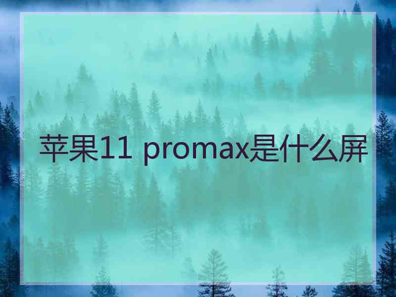 苹果11 promax是什么屏