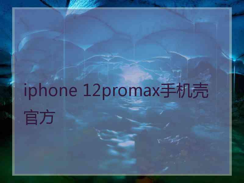 iphone 12promax手机壳官方