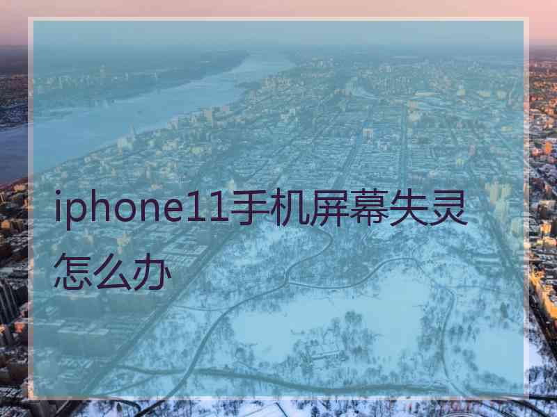 iphone11手机屏幕失灵怎么办