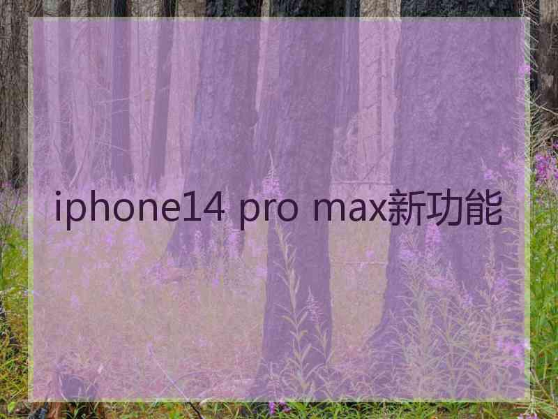 iphone14 pro max新功能