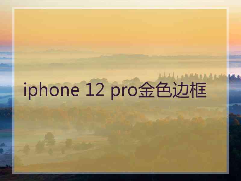 iphone 12 pro金色边框