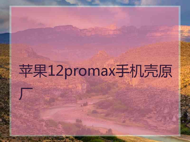 苹果12promax手机壳原厂