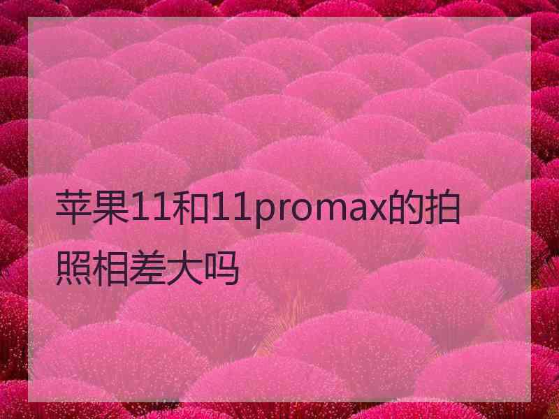 苹果11和11promax的拍照相差大吗