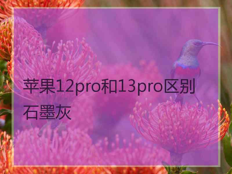 苹果12pro和13pro区别石墨灰