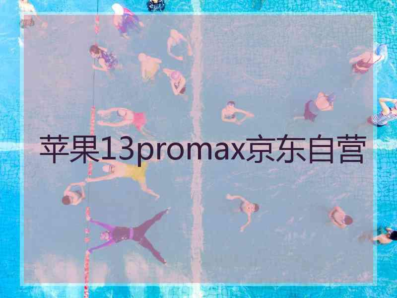 苹果13promax京东自营